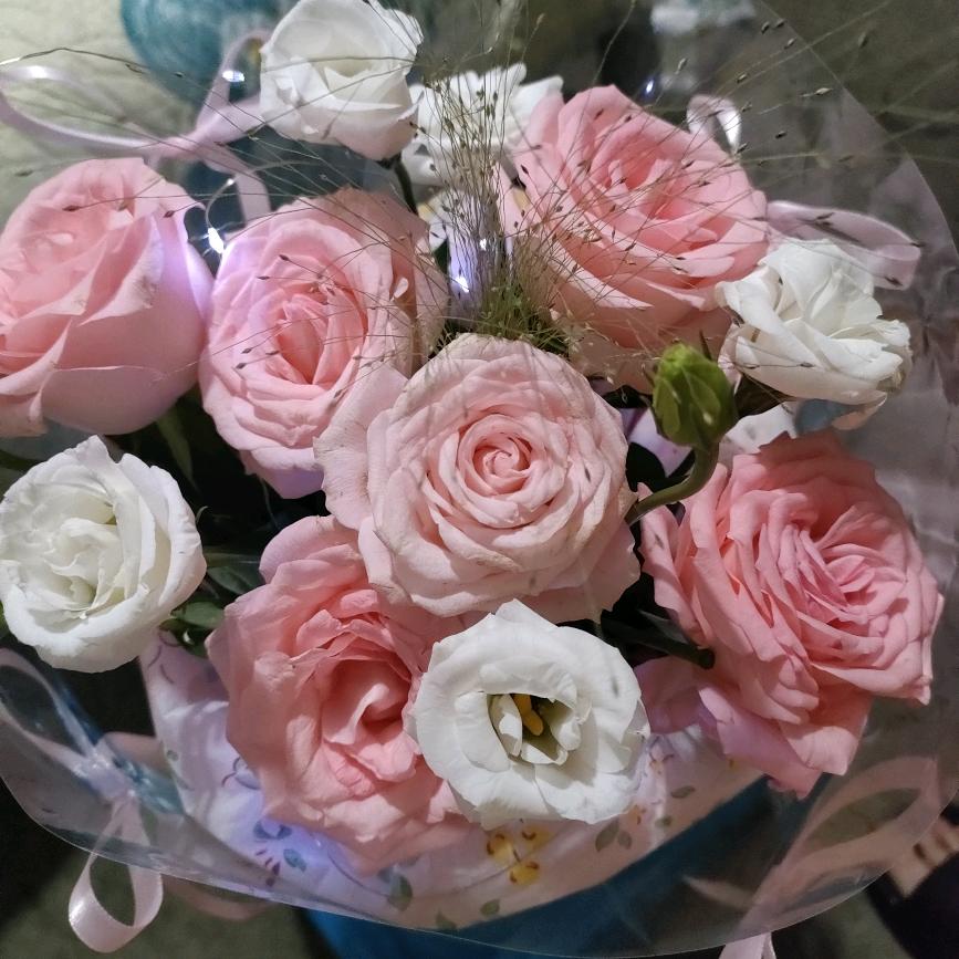 ໒꒰｡・◡・｡꒱໒落日🌇晴书