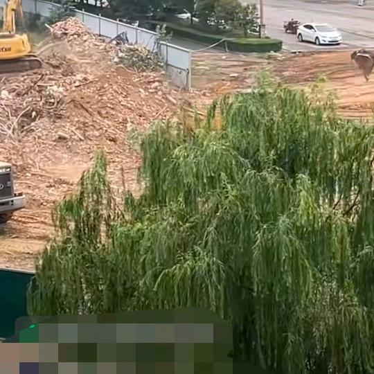 新绛鸡场被qiang拆当事人