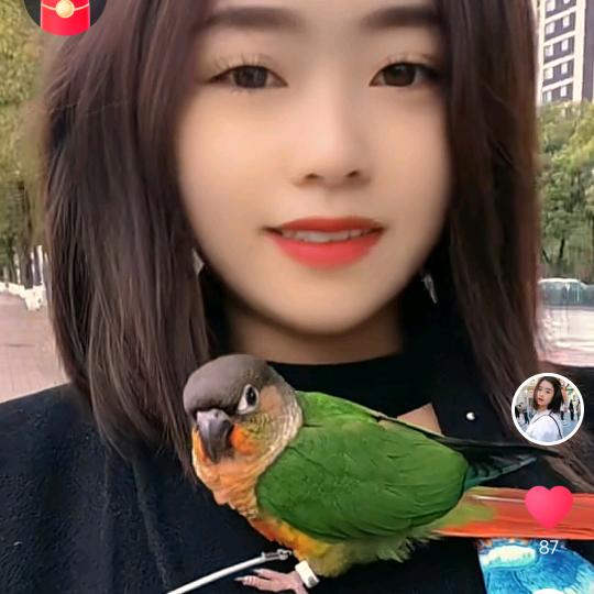 ╭(╯ε╰)╮三秒♥记忆💞