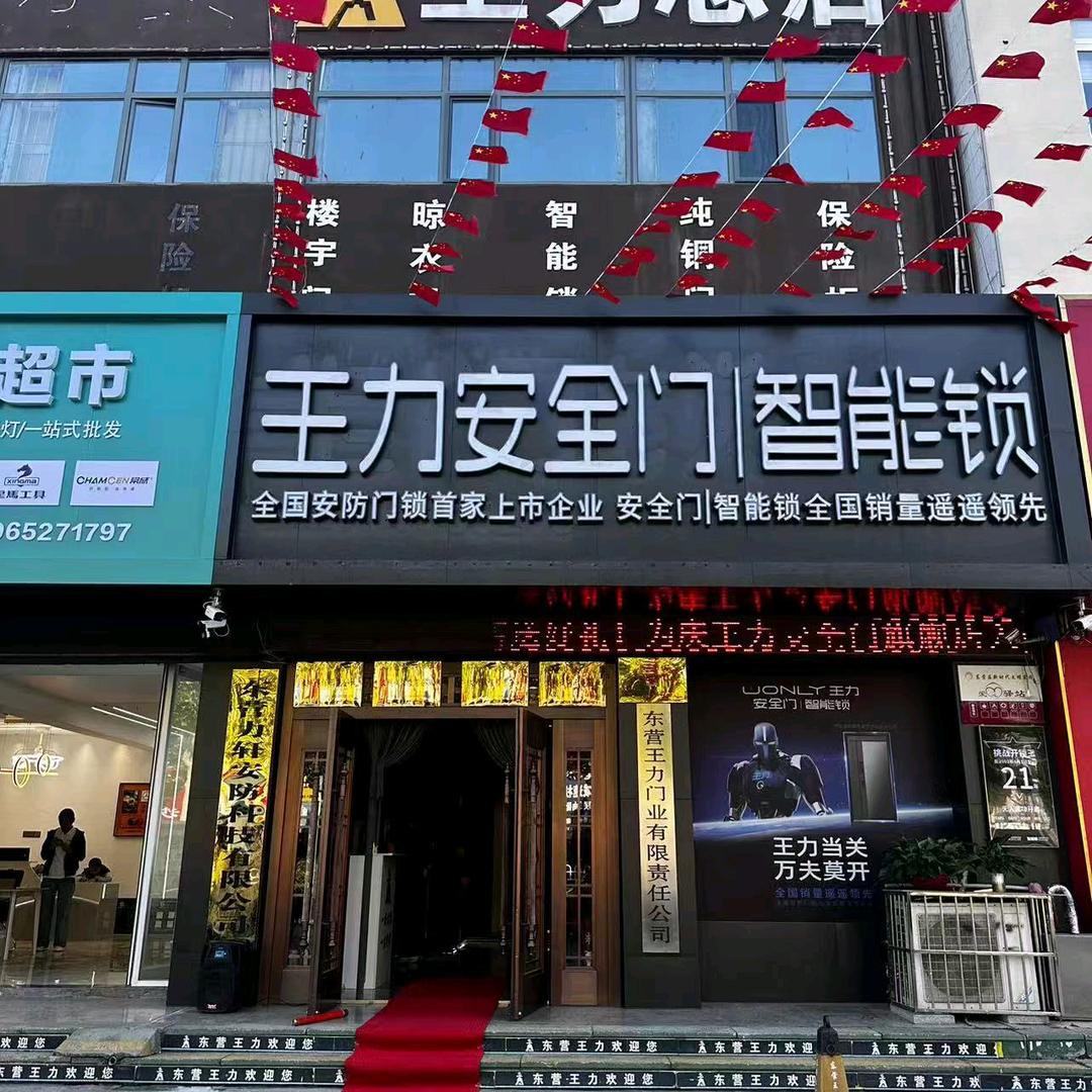 东营王力安全门