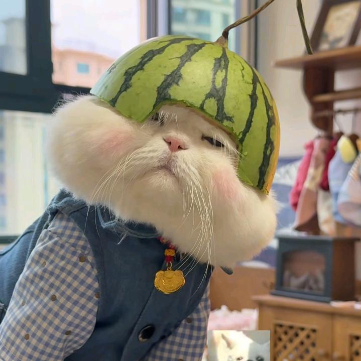 祝你放屁崩黄水