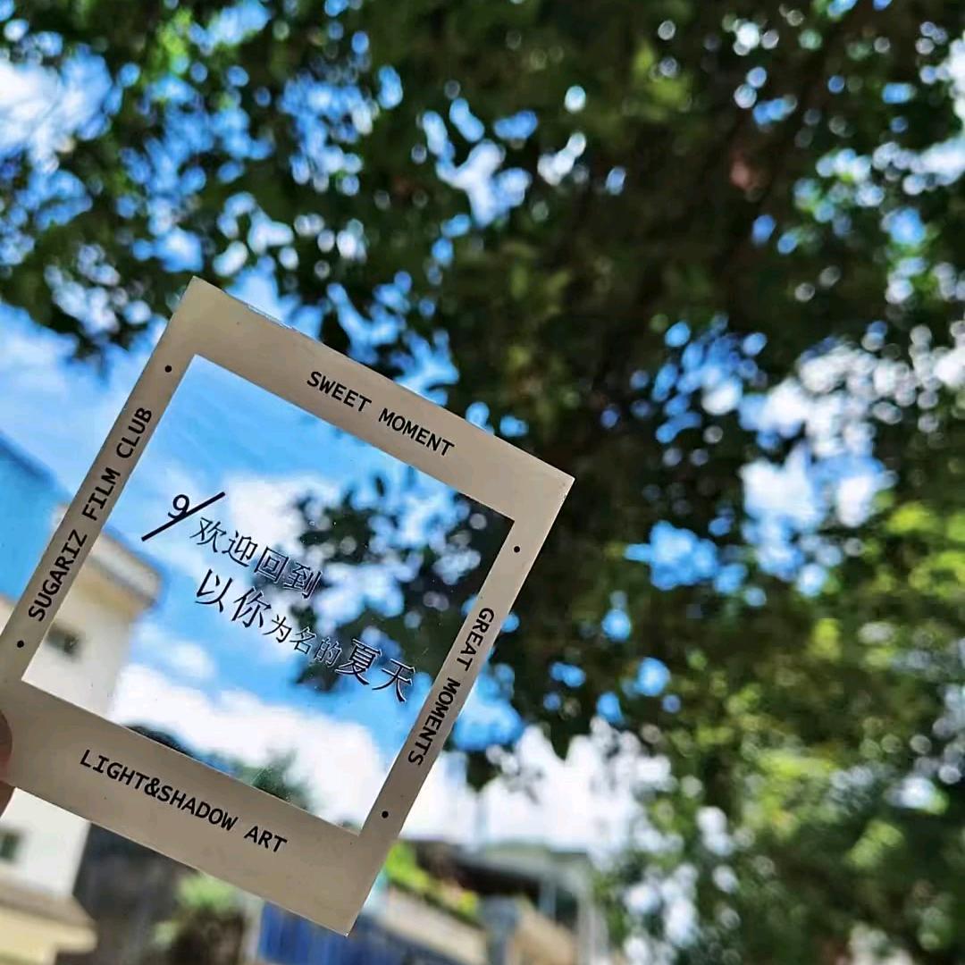 纷纷