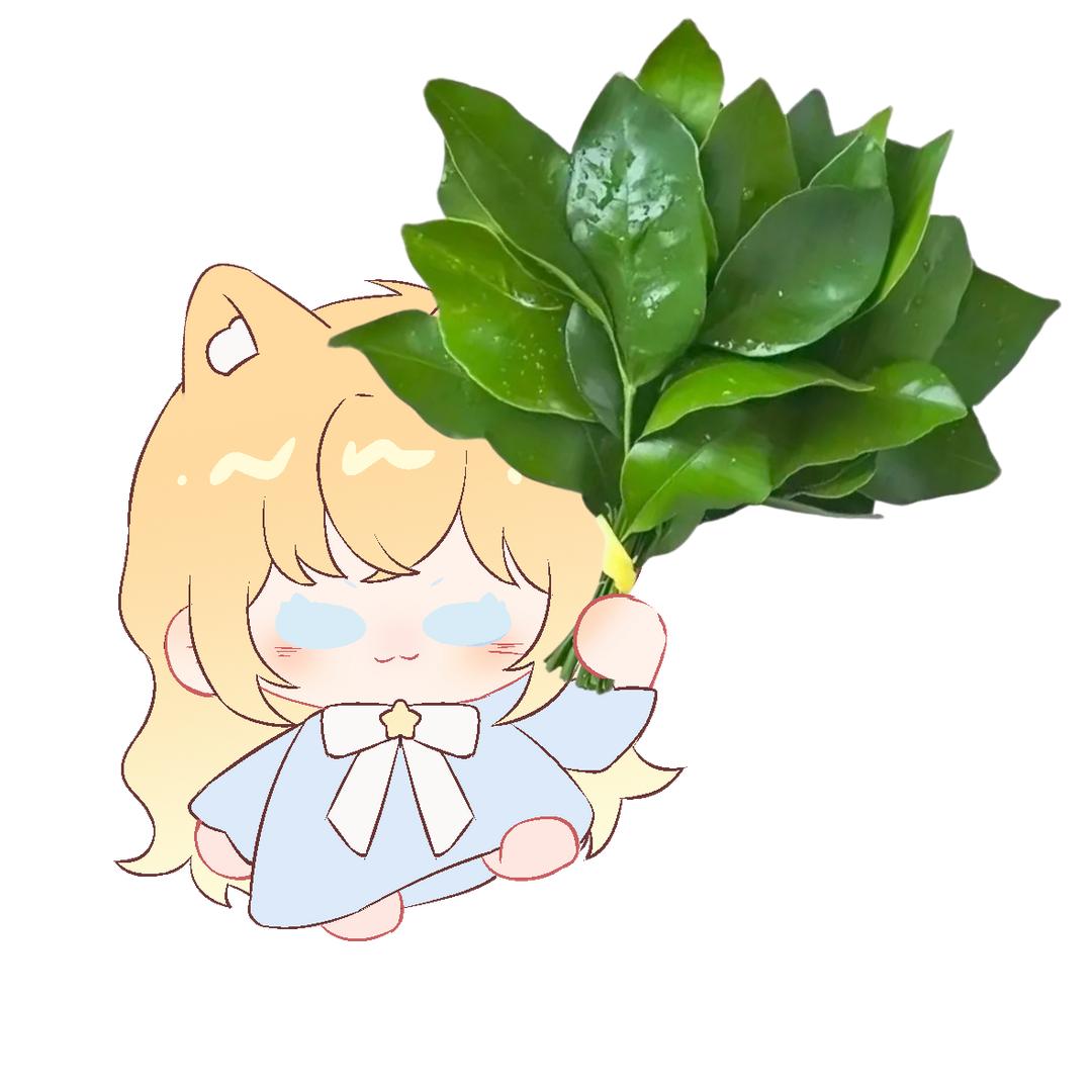 星⭐️星⭐️