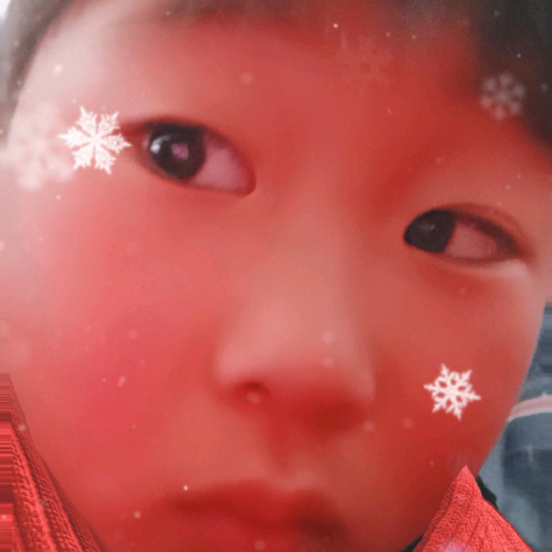 诺宝