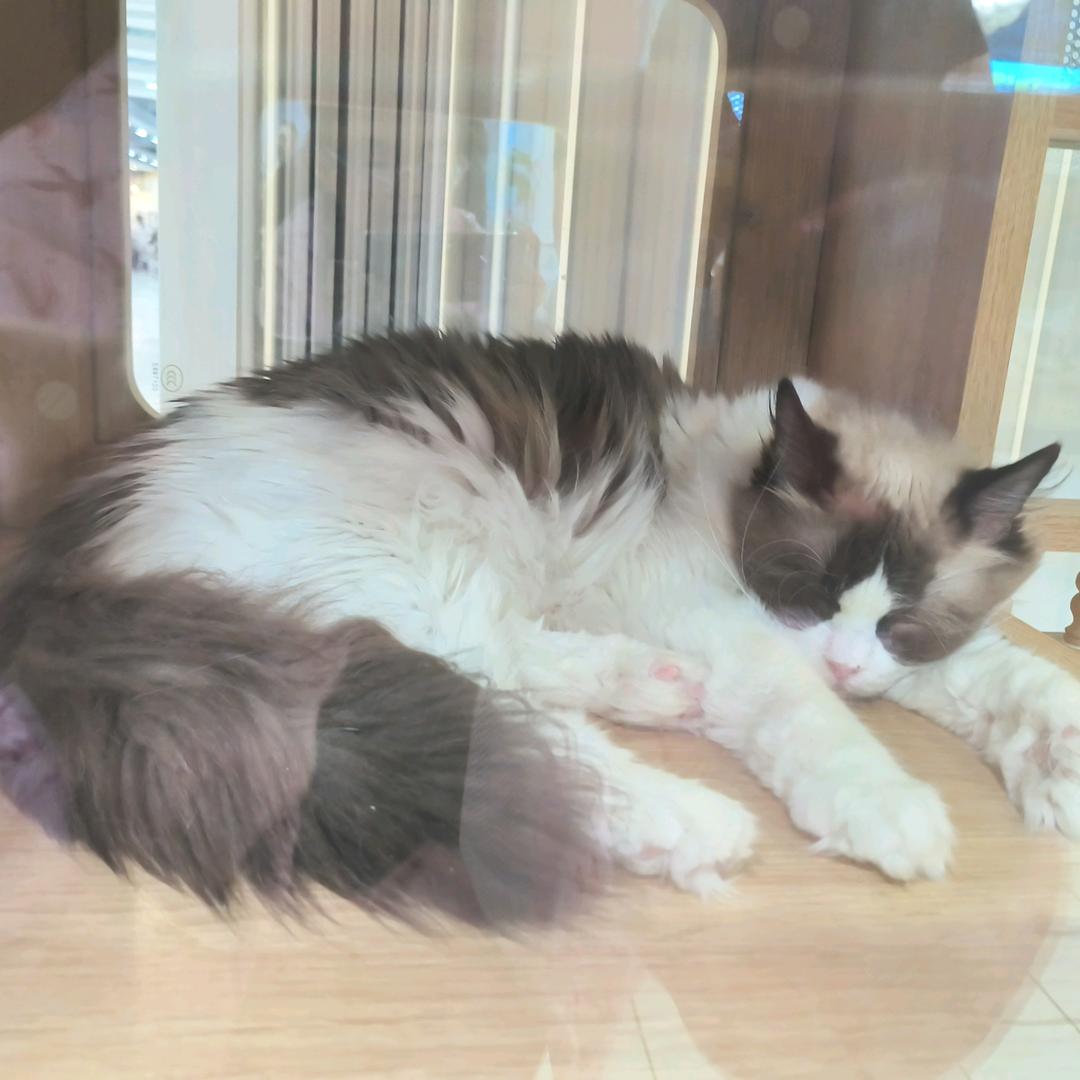 宝宝潼