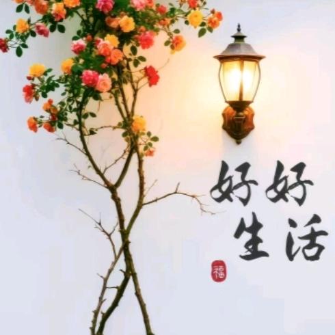 木头