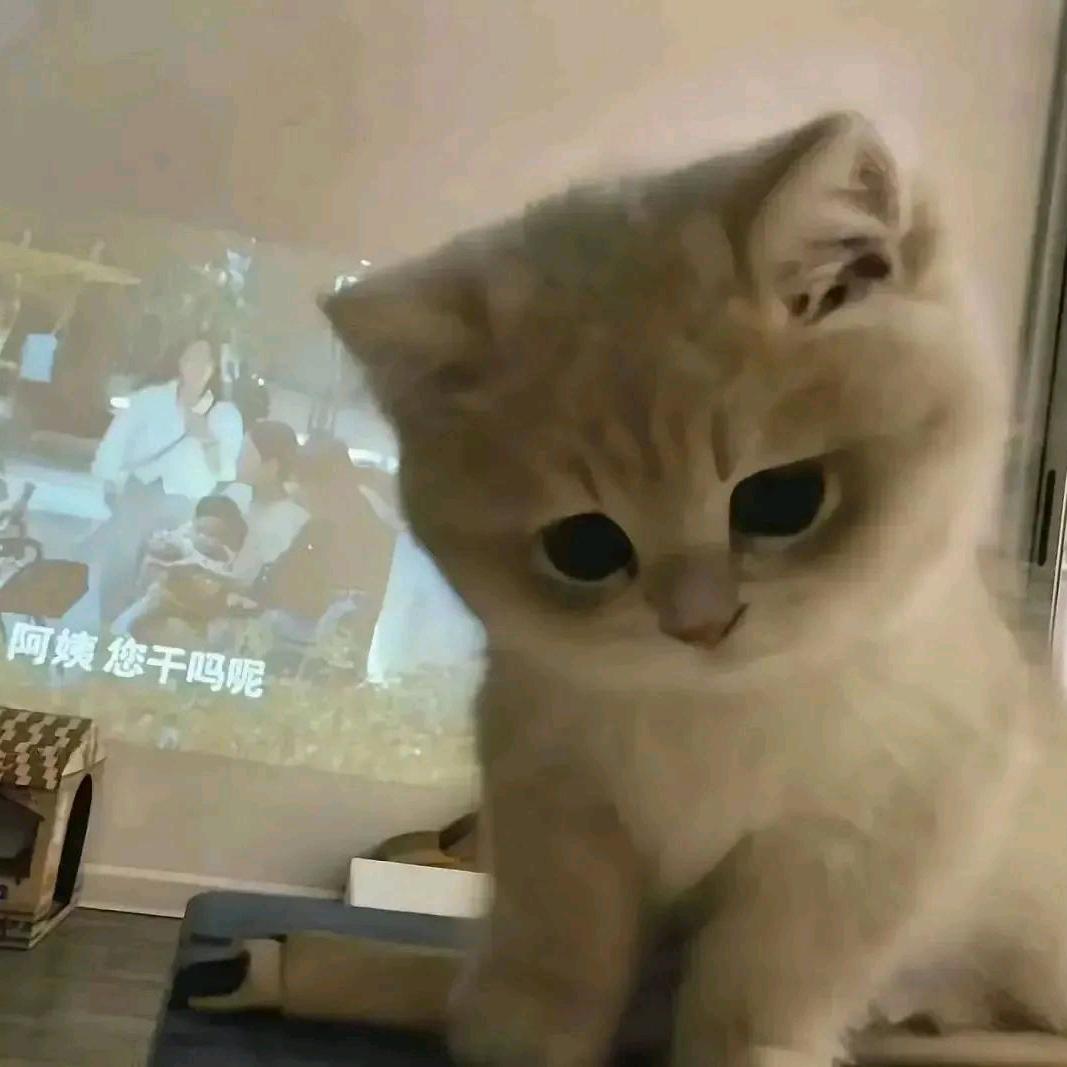 歪歪