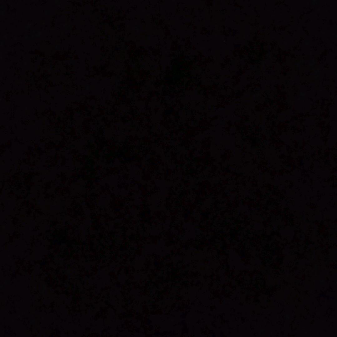 PP