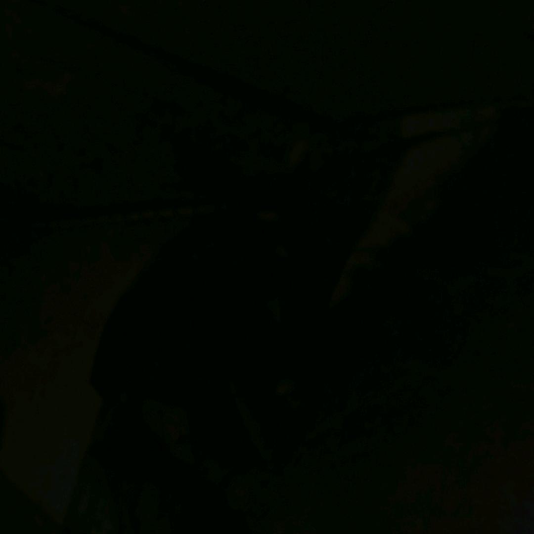 春雷