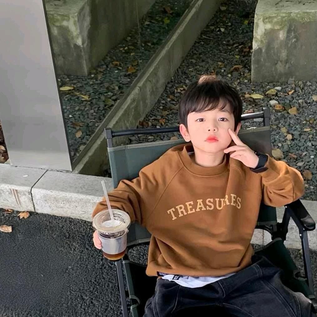 左半球.