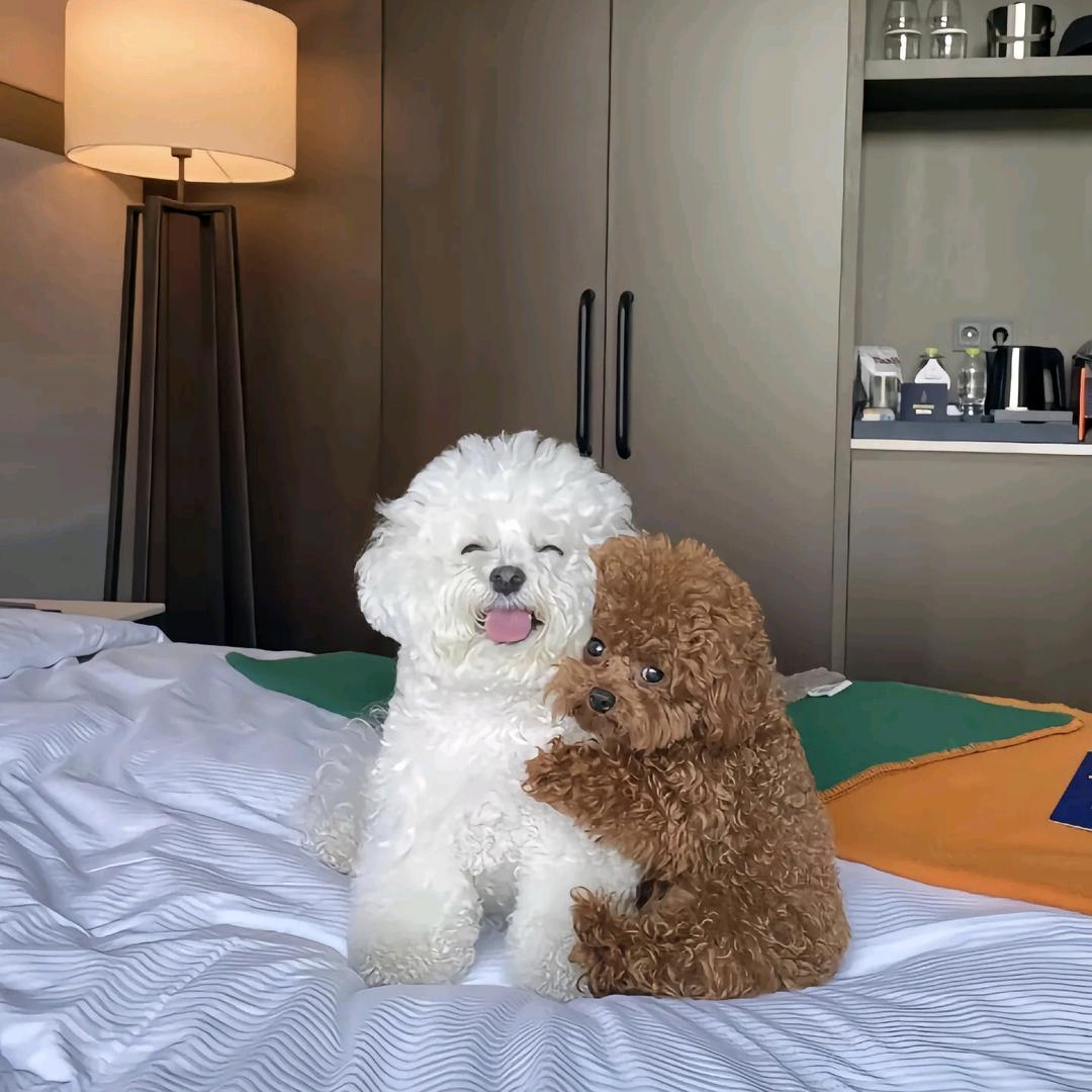 超爱邪恶摇粒绒