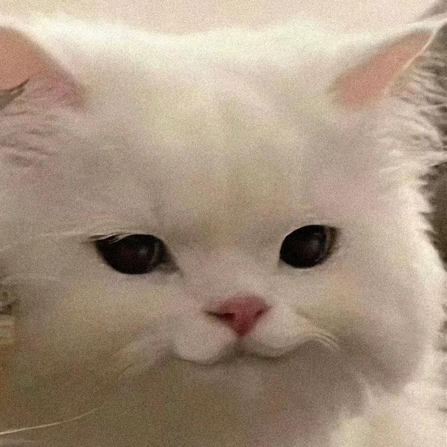 慧儿