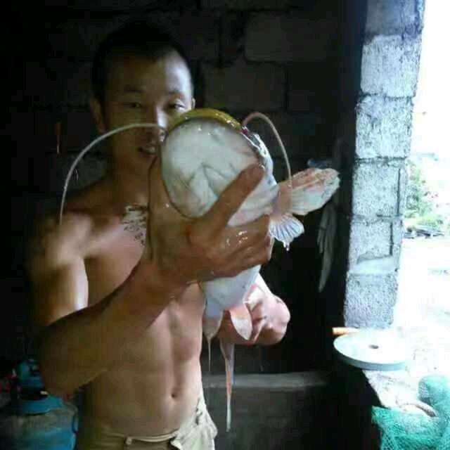 万wan