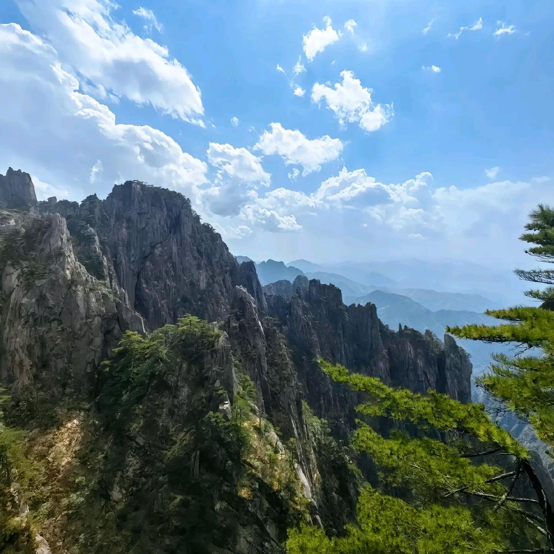山外青山