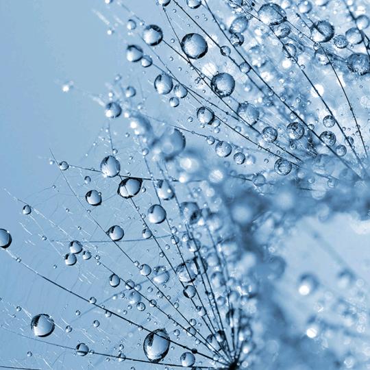 爱笑的眼睛🌻🌻