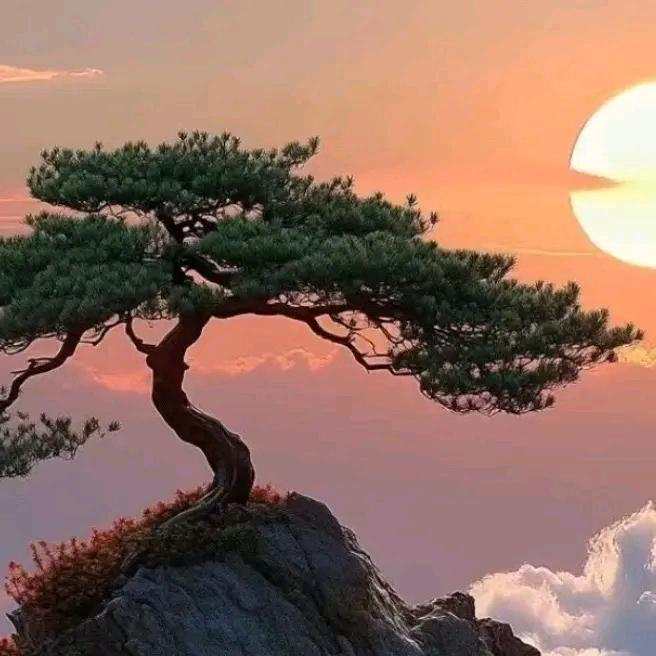 縄㽓鵿賸椉