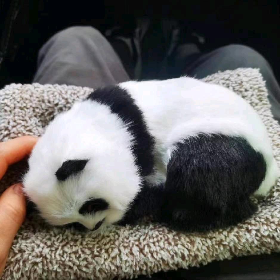 热气球-诺北（游戏发行人）