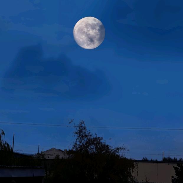 🎱角色人生🌍