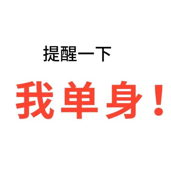 会飞的🐺