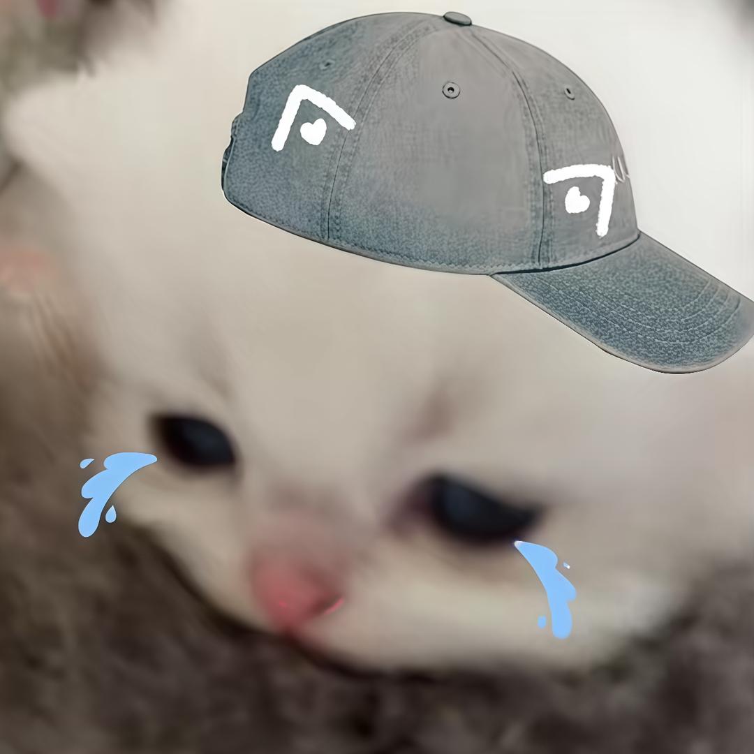 愿