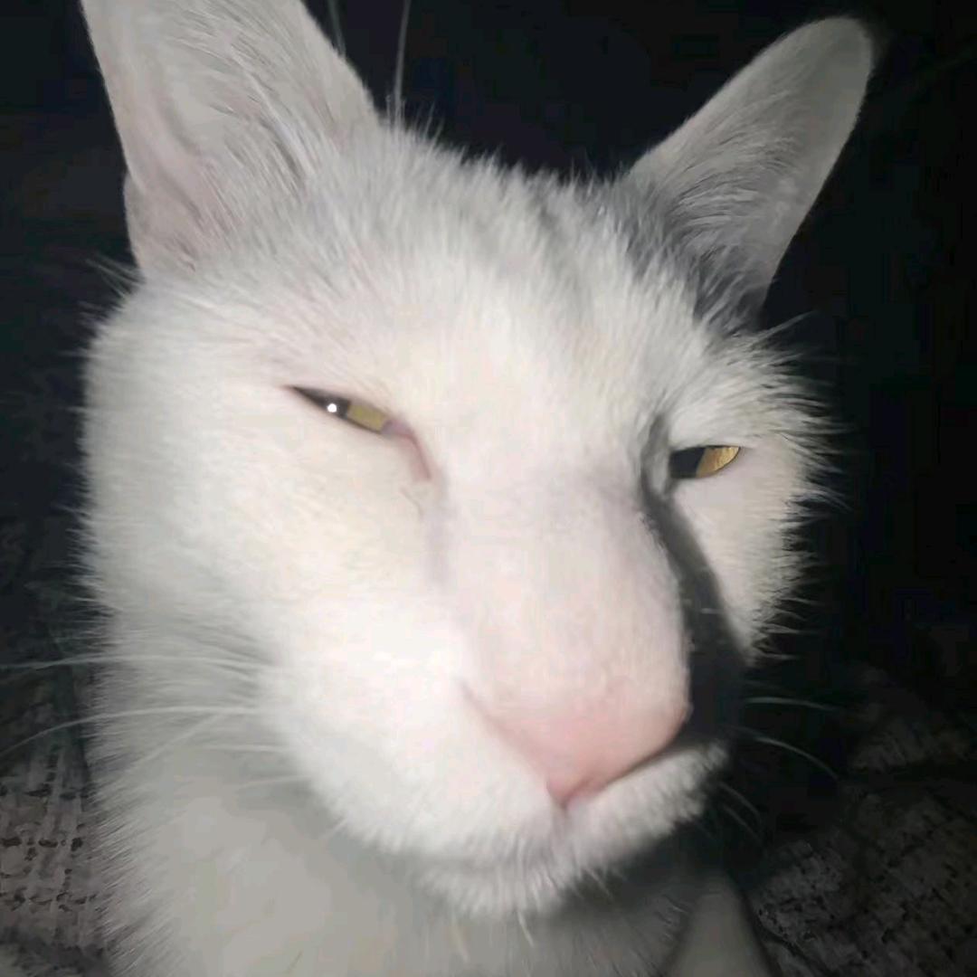 陌染（暗区突围）