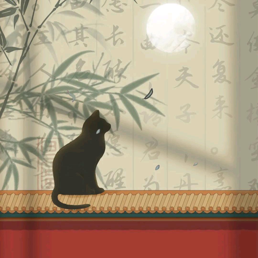 🍿爆稻米花🌾