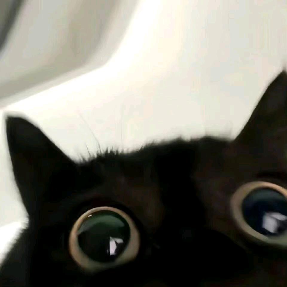 食不食香精煎鱼