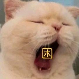 have咗又想訓覺（巅峰极速）