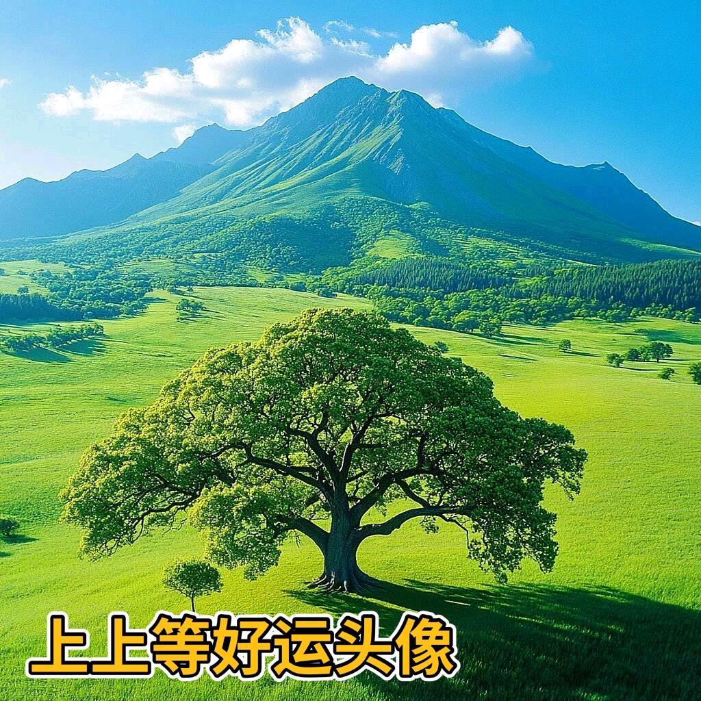 蟋蟀爱好者王