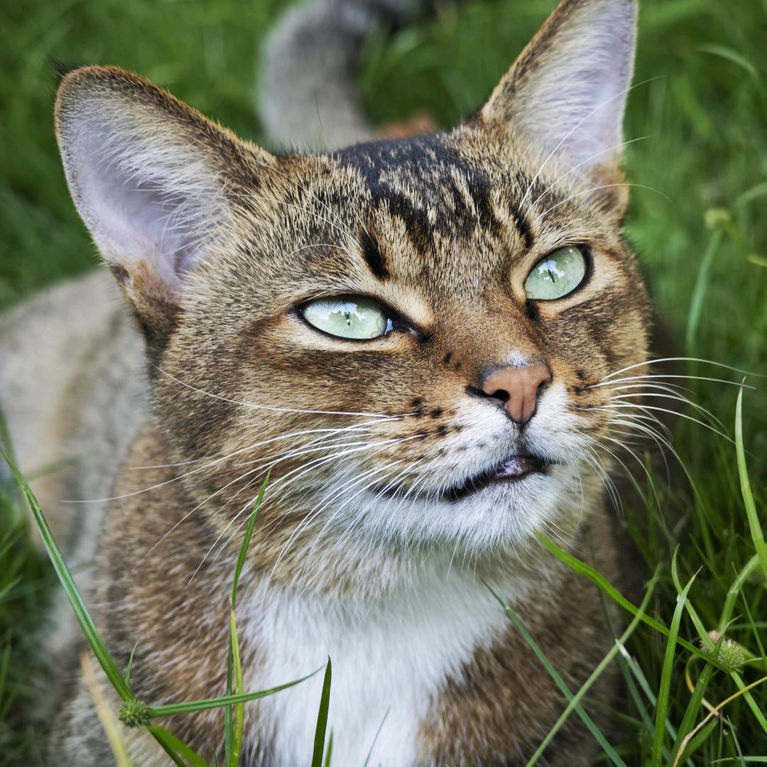 需要我的帮助吗