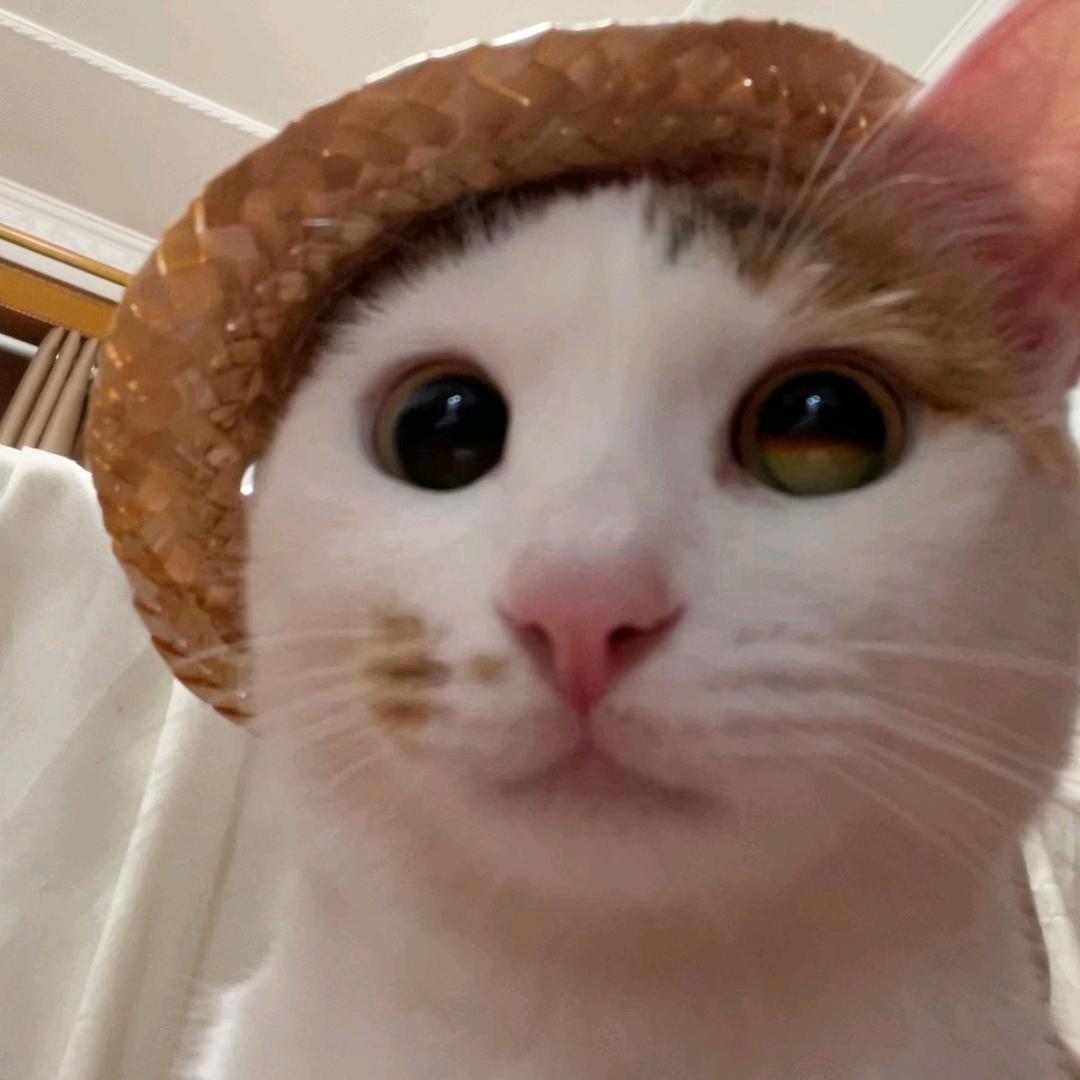 抹茶吐司