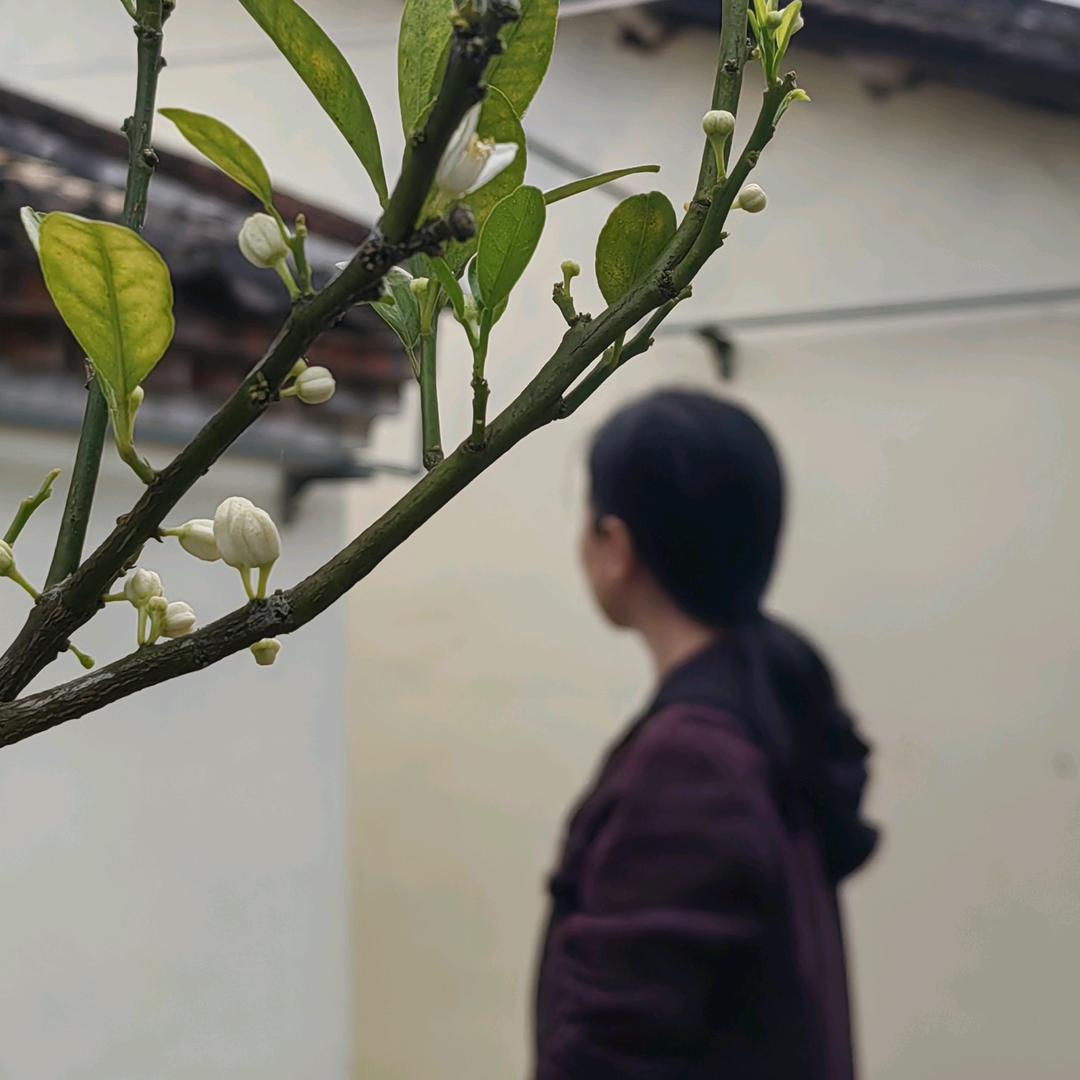 熔金