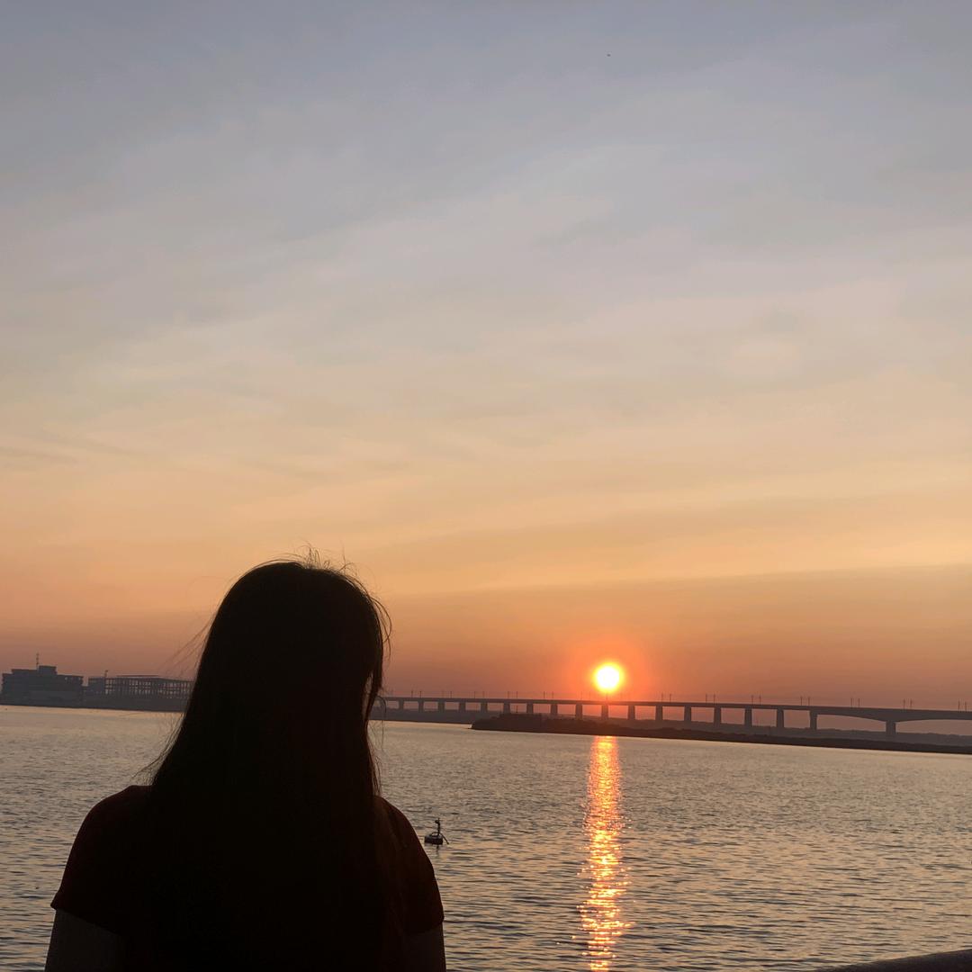 随风去看海