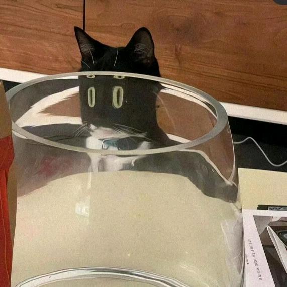 云晨