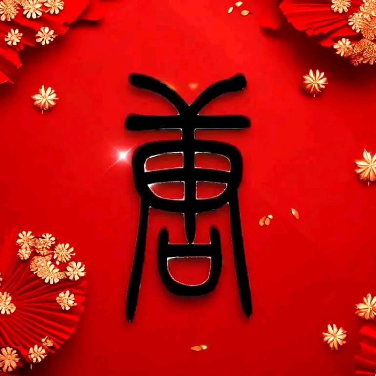 晓宇5185