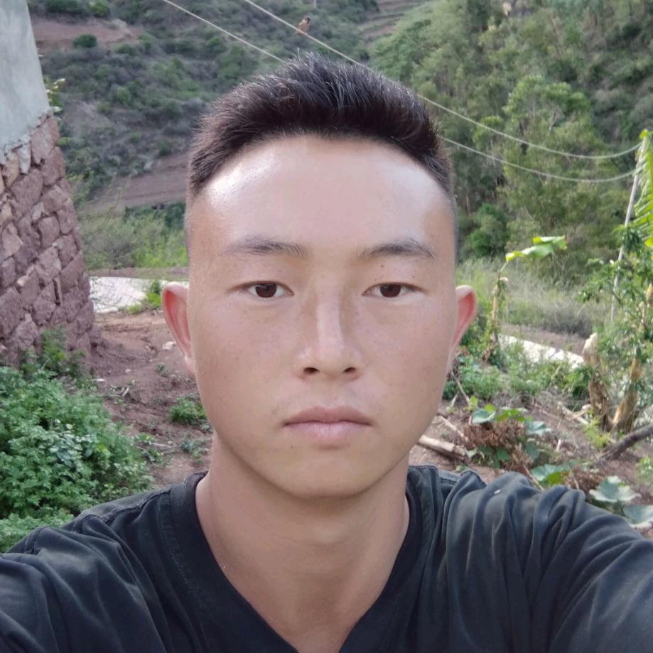 飞翔。