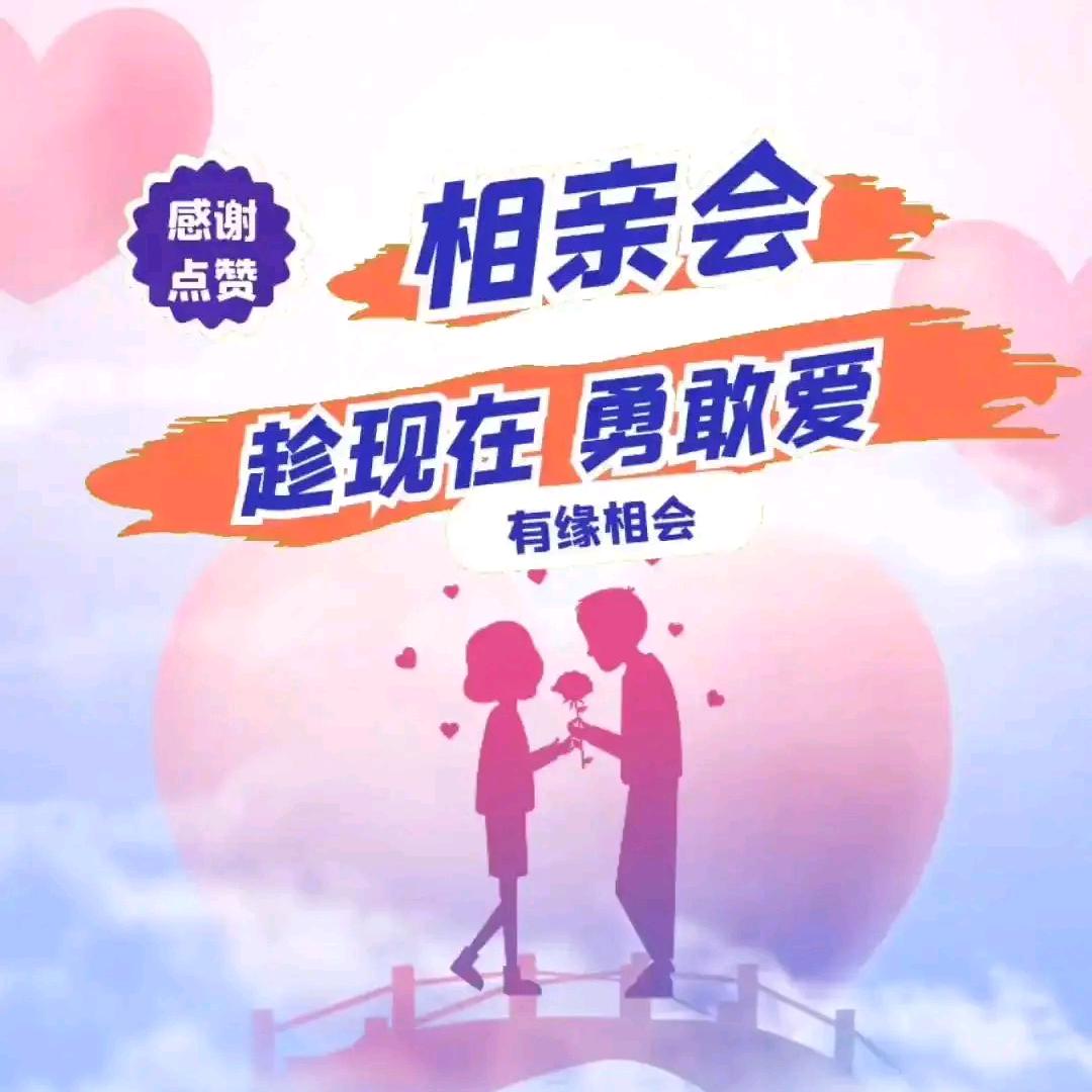 大杨哥的小店