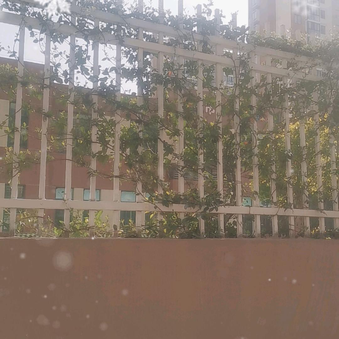 阿磊说表