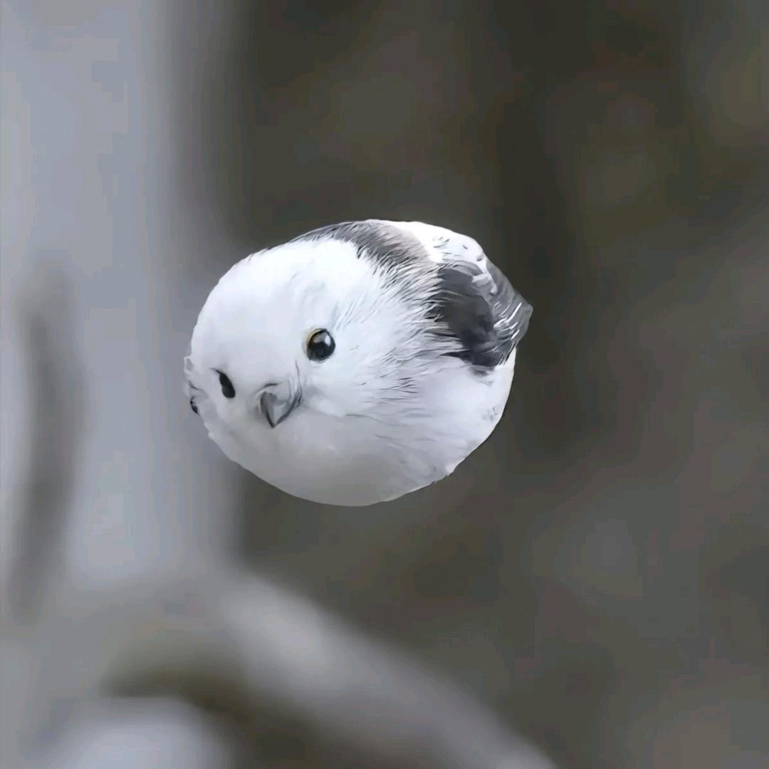 小辣椒不吃辣椒酱