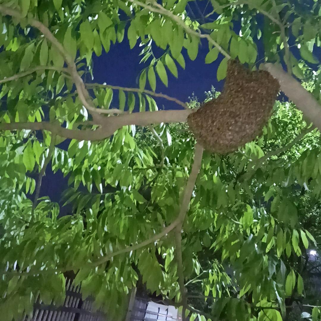 吾悔过往