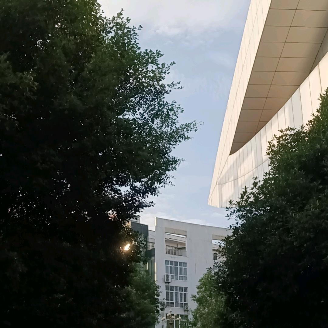 caole头像