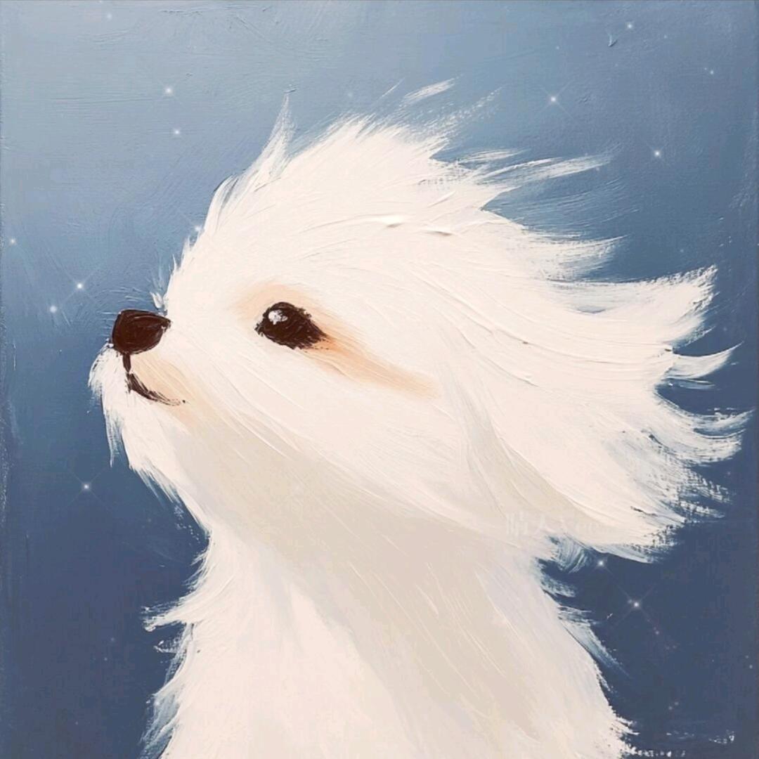 波罗