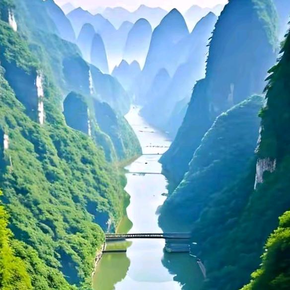 毛199