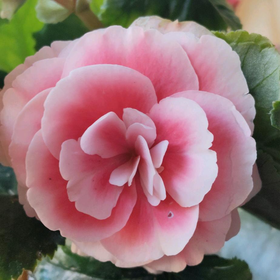 华华🌺