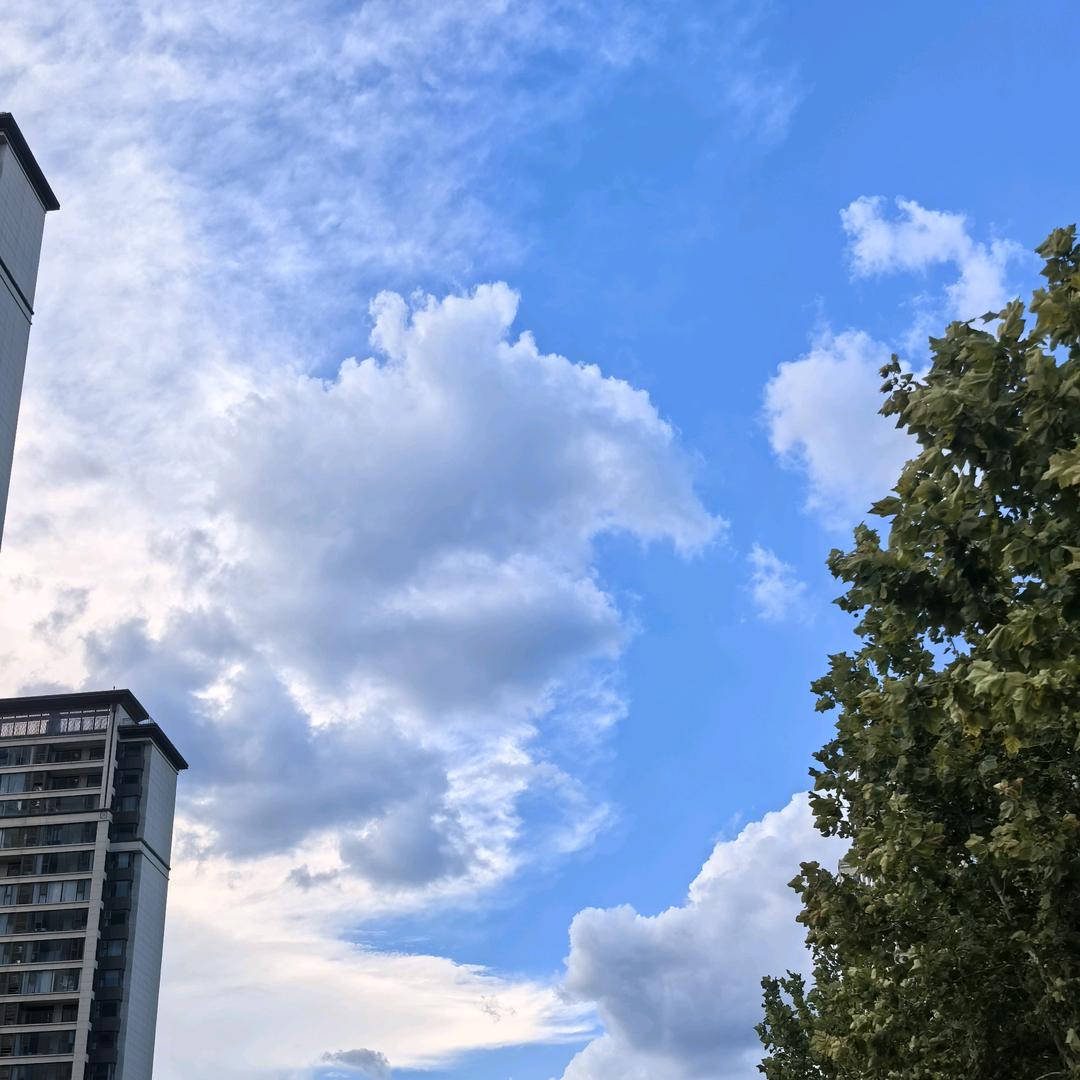 ㅤ‍ㅤ ㅤ‍‍ ㅤ‍ㅤ‍ㅤ ㅤ‍‍ ㅤ▓