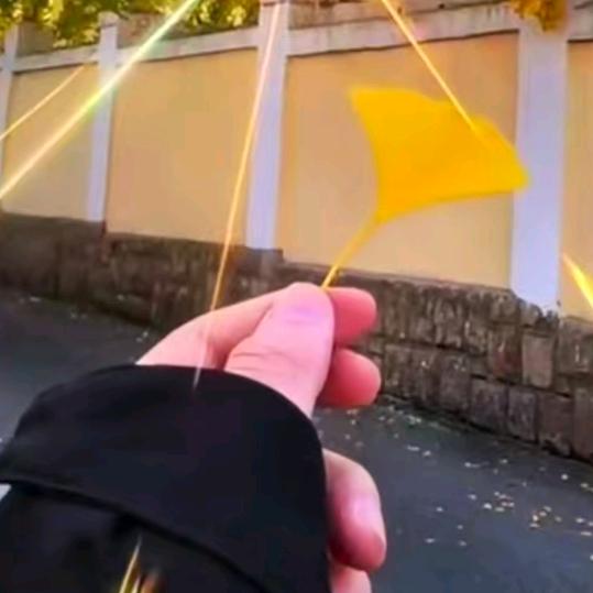 伊人