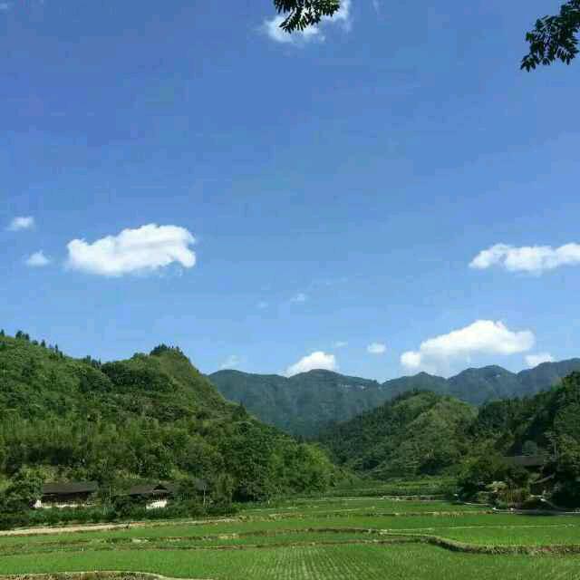 鸿翔