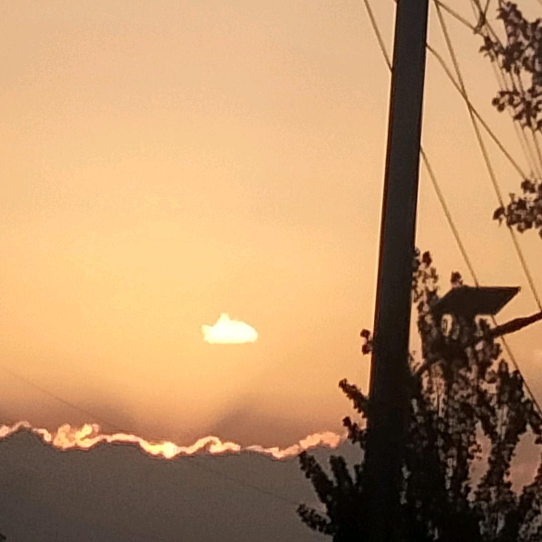 夜半仙