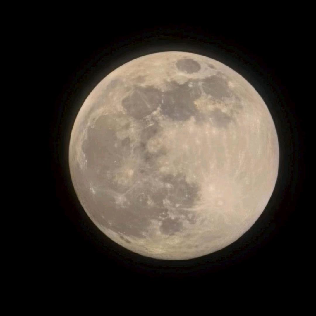 大丰华美街永新电器