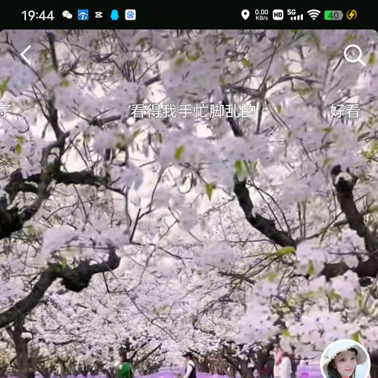 春暖花开，